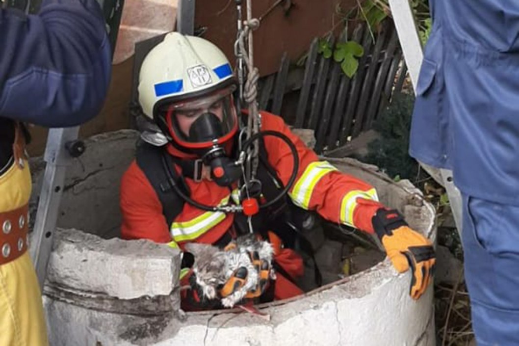 Днепровские спасатели достали котика из 15-метрового колодца - рис. 1