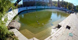 В днепровском парке Глобы озеро может выйти из берегов (ФОТО) - рис. 9