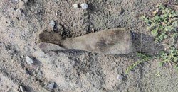 На Днепропетровщине мужчина обнаружил мину на собственном дворе - рис. 3