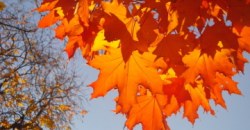 Какая погода будет в Днепре и области 26 октября - рис. 21