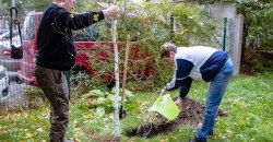 «Дніпро квітучий»: в рамках декадника в городе высадили 70 молодых деревьев - рис. 11