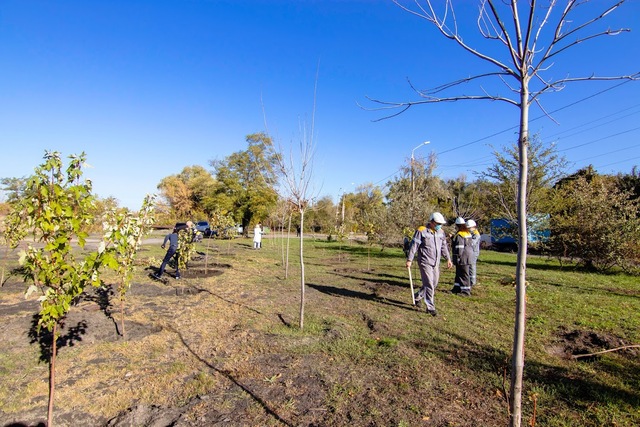 Озеленение-2020: промышленные гиганты высаживают деревья в Днепре - рис. 2