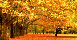 Какая погода будет в Днепре и области 15 октября - рис. 9