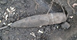 Вместо грибов снаряды: на Днепропетровщине нашли боеприпасы - рис. 19