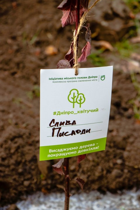 «Дніпро квітучий»: в рамках декадника в городе высадили 70 молодых деревьев - рис. 14