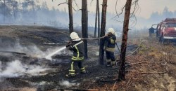 Спасатели Днепропетровщины продолжают тушить пожары в Луганской области - рис. 13