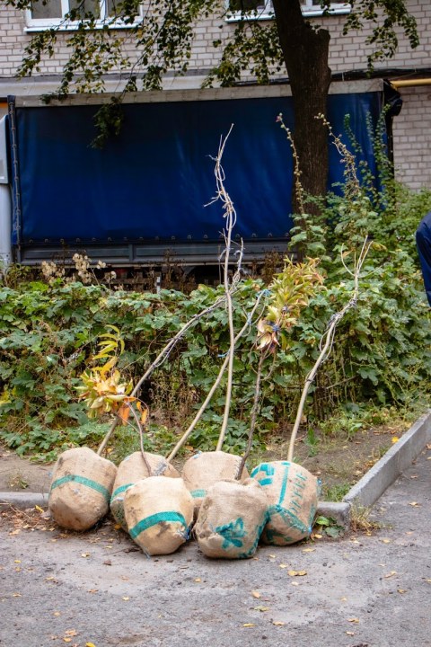 «Дніпро квітучий»: в рамках декадника в городе высадили 70 молодых деревьев - рис. 6