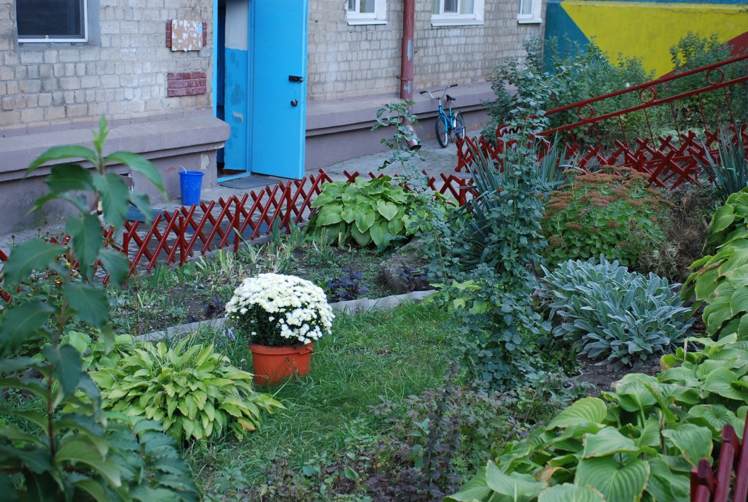 В Днепре почти в каждом дворе высадят новые деревья и кустарники (ФОТО) - рис. 23