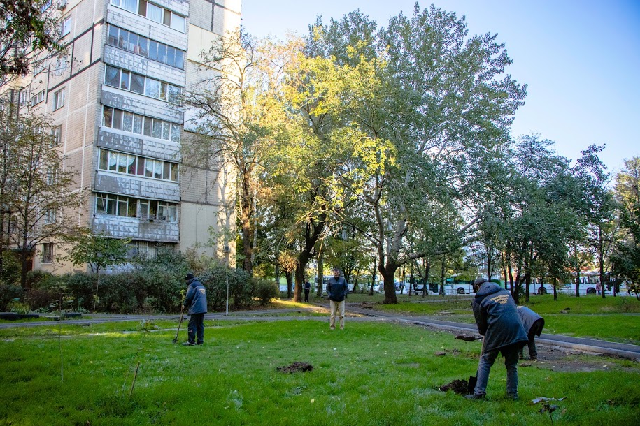В Днепре более 5000 молодых деревьев высадят во дворах многоэтажек - рис. 2
