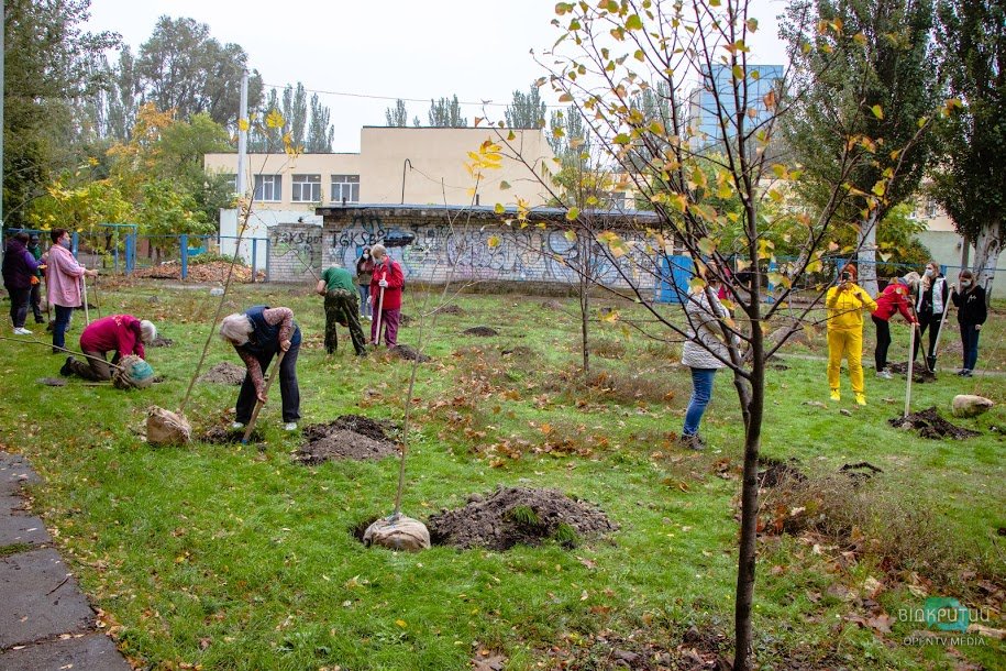 В Днепре на жилмассивах Покровский и Красный камень высадили 70 молодых деревьев - рис. 1