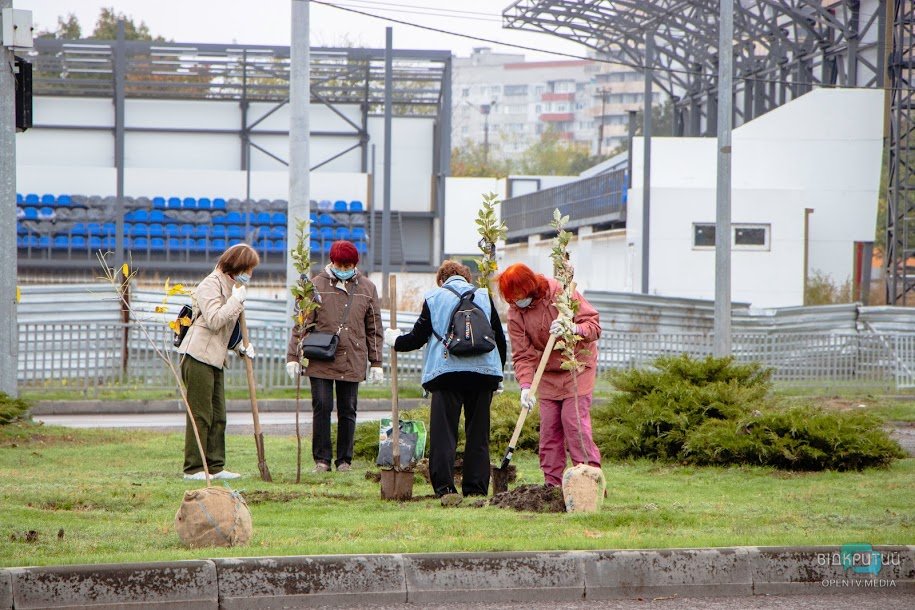 В Днепре на жилмассивах Покровский и Красный камень высадили 70 молодых деревьев - рис. 5