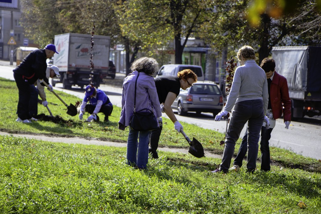 В рамках программы озеленения Днепра слушатели "Университета третьего возраста" высадили 170 деревьев - рис. 6