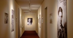 В Днепре открылась диджитал-выставка «Пикассо: периоды гениальности» - рис. 11