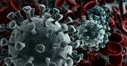 Антирекорд заражения COVID-19 в Днепре: коронавирусом заболели 367 человек - рис. 9
