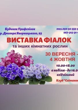 ГогольFest и караоке: куда пойти в Днепре на этих выходных - рис. 6