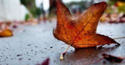 Какая погода будет в Днепре и области 26 ноября - рис. 9