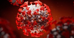 МОЗ ведет переговоры с шестью компаниями о поставке вакцины от коронавируса - рис. 11
