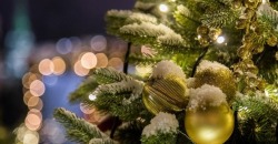 В Днепре установили первую новогоднюю елку: узнай где - рис. 12