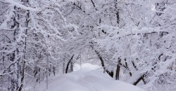 Какая погода будет в Днепре и области 22 ноября - рис. 12