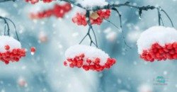 Какая погода будет в Днепре и области 23 ноября - рис. 11