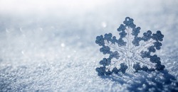 В Харькове и Сумской области выпал снег: какая погода ждёт днепрян в ближайшее время - рис. 5