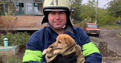 Провалился в люк: на Днепропетровщине спасли крохотного щенка - рис. 7