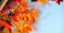 Какая погода будет в Днепре и области 4 ноября - рис. 12