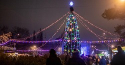 В Днепре новогоднюю елку в парке Глобы украсят 3D элементами - рис. 3