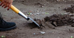 Ликвидация свалки на Мирном в Днепре: специалисты взяли пробы почвы - рис. 18