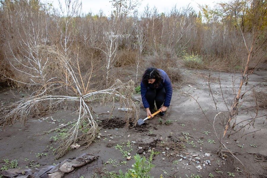 Ликвидация свалки на Мирном в Днепре: специалисты взяли пробы почвы - рис. 1