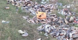 Возле Кривого Рога выбросили тонны гнилой рыбы (ФОТО) - рис. 13