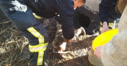 На Днепропетровщине спасатели достали ребенка из выгребной ямы - рис. 19