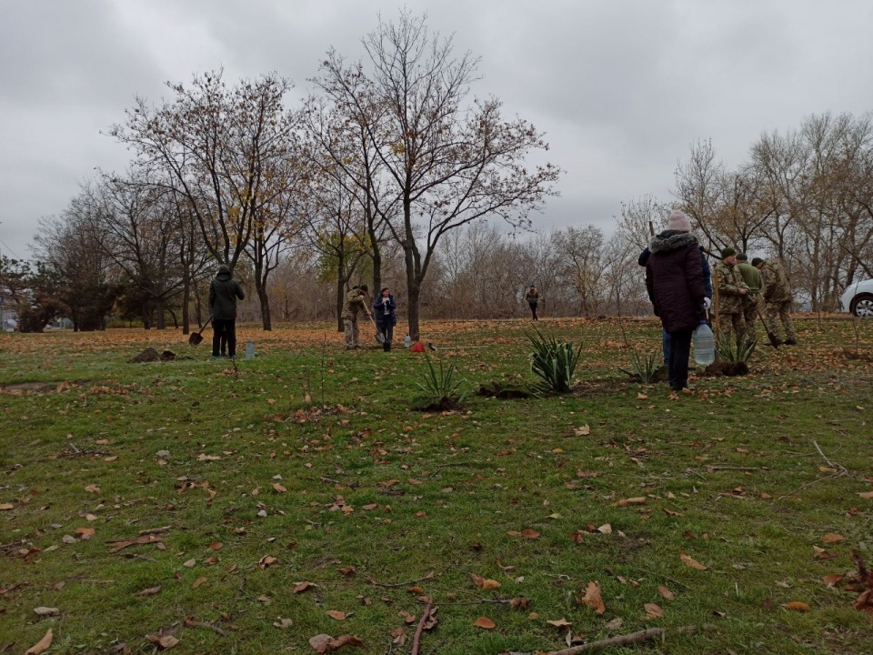В Днепре на Набережной высадили несколько десятков деревьев в честь погибших героев - рис. 8