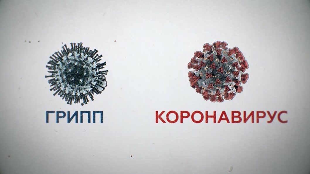 Локдаун в январе связан с распространением гриппа, - министр Степанов - рис. 1