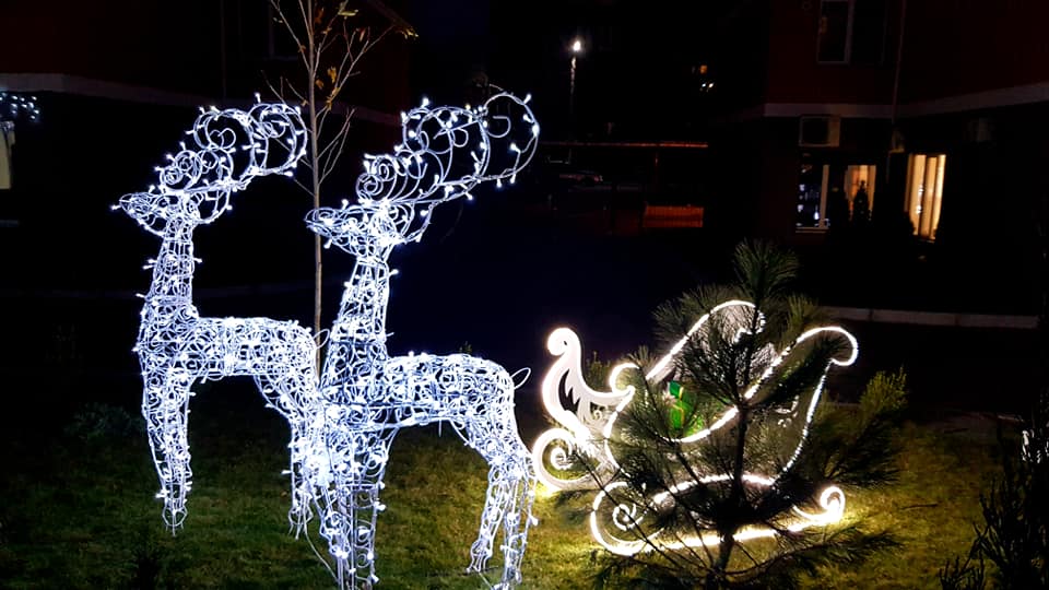 В Днепре во дворе многоэтажки "поселились" олени (ФОТО) - рис. 2