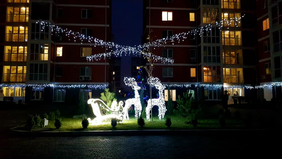 В Днепре во дворе многоэтажки "поселились" олени (ФОТО) - рис. 6