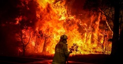 В Новомосковске горит здание местного СТО: дым виден за километры - рис. 15