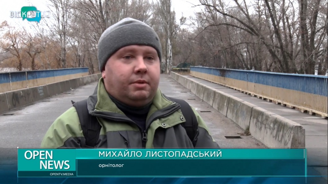 Охота без жертв: в Днепре появился модный бёрдвотчинг - рис. 5