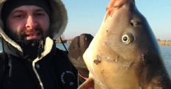 Чудо-рыба: в Днепре местный рыбак поймал огромного сазана - рис. 7