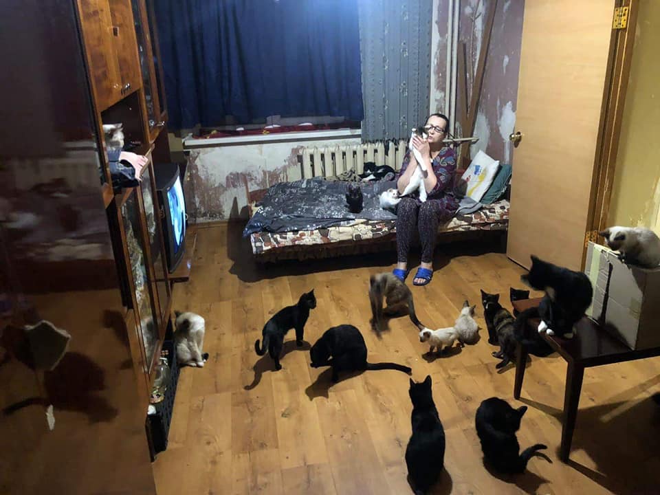 В Кривом Роге женщина приютила 39 котов и едва сводит концы с концами - рис. 1