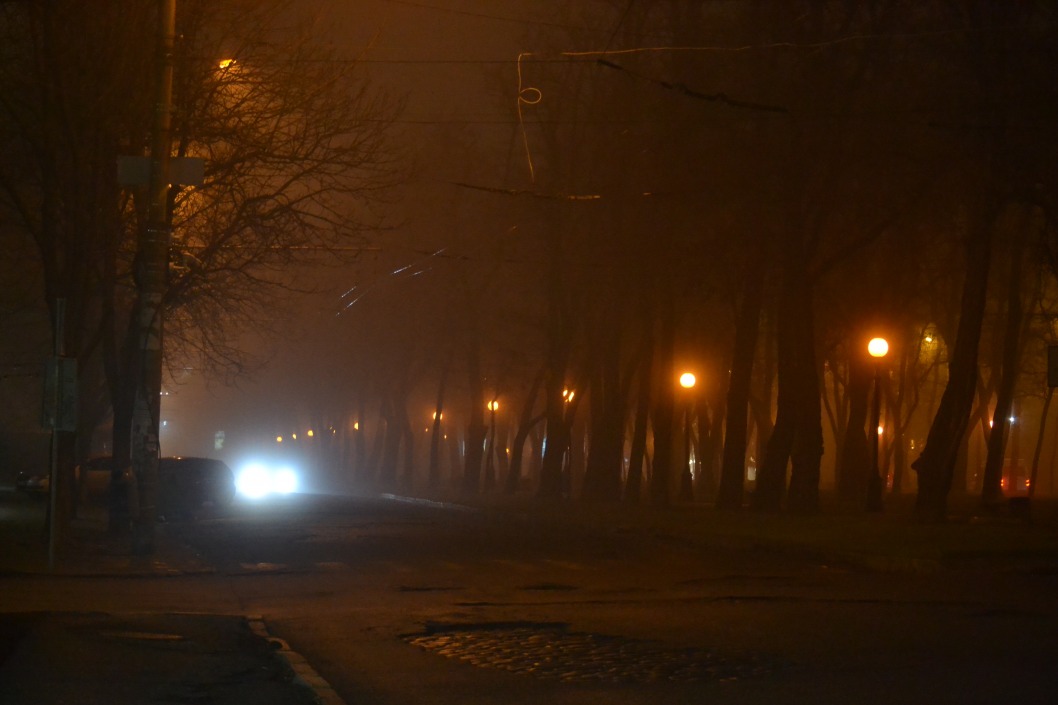 Осторожно, туман: синоптики предупреждают жителей Днепропетровщины - рис. 1