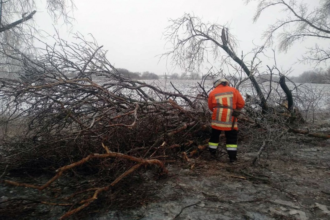 Поваленные деревья и застрявшие машины: днепровские спасатели боролись с последствиями непогоды - рис. 1