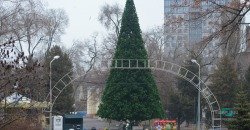 Пока без 3D-элементов: в парке Глобы установили новогоднюю ёлку (ФОТО) - рис. 6