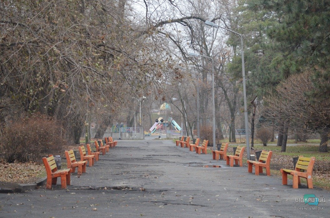 Пока без 3D-элементов: в парке Глобы установили новогоднюю ёлку (ФОТО) - рис. 4