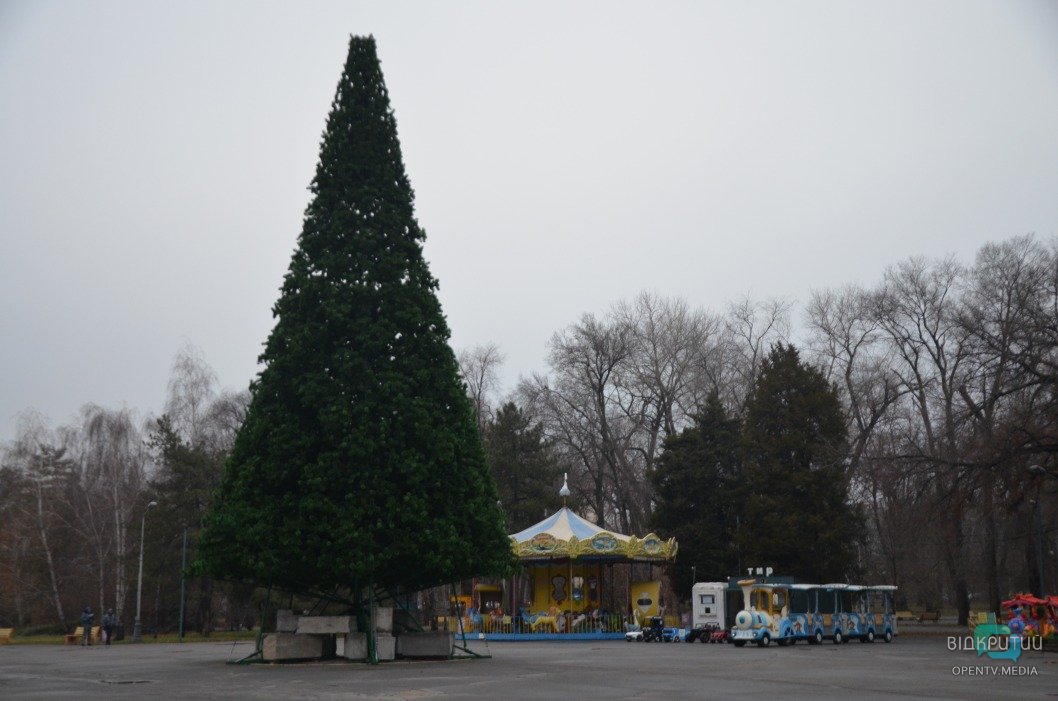 Пока без 3D-элементов: в парке Глобы установили новогоднюю ёлку (ФОТО) - рис. 5