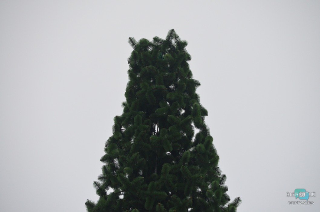 Пока без 3D-элементов: в парке Глобы установили новогоднюю ёлку (ФОТО) - рис. 3