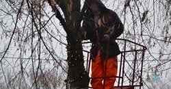 В сквере Героев устанавливают новогоднюю иллюминацию - рис. 20