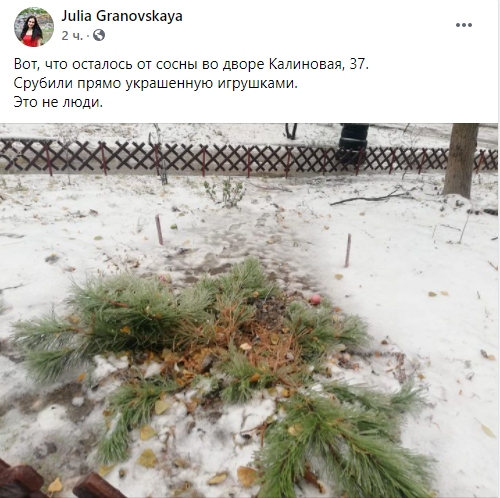 В Днепре вандалы срубили новогоднюю елку, которую украсили местные жители - рис. 1