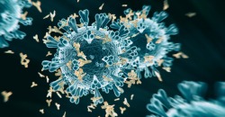 «Неправильные антитела»: особенность иммунитета, которая осложняет течение COVID-19 - рис. 19