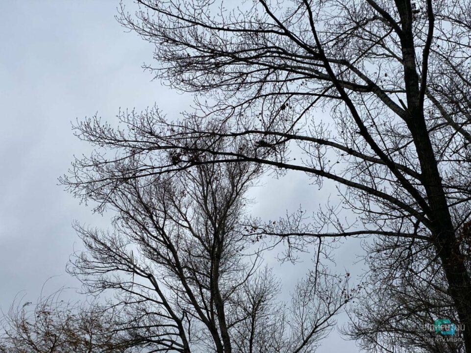 Охота без жертв: в Днепре появился модный бёрдвотчинг - рис. 4